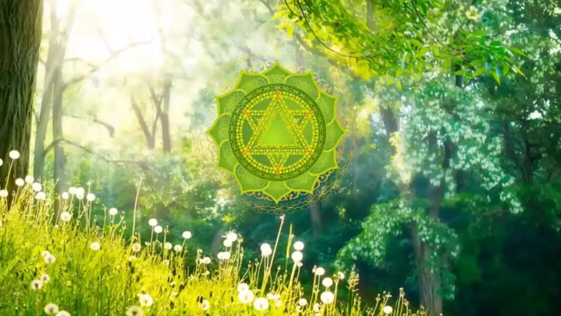 归真无涯何事了