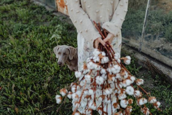 为何你的挽回这么难？这篇文章会告诉你答案，挽回的秘籍