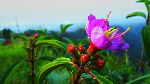 高价值刻画之二