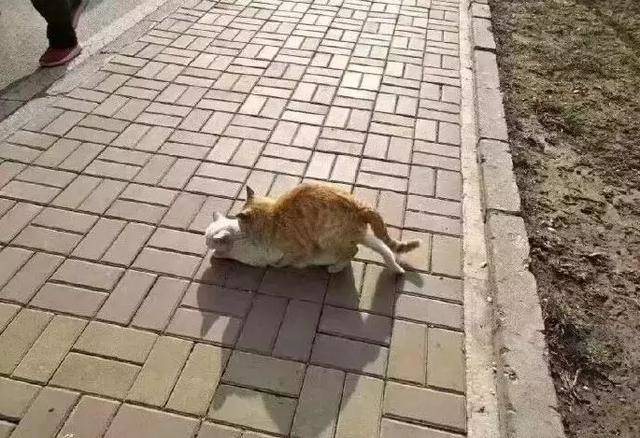 追女生聊天案例-夜夜有女生陪伴的不外传秘籍