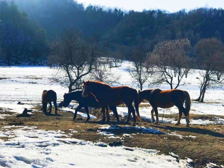 把妹高手过招，我居然也会被发好人卡！行，你给我等着…