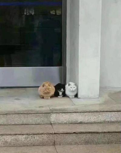 追女生聊天案例-夜夜有女生陪伴的不外传秘籍