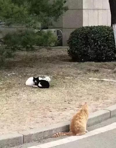 追女生聊天案例-夜夜有女生陪伴的不外传秘籍