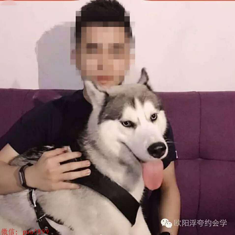 在qq上怎么追女生