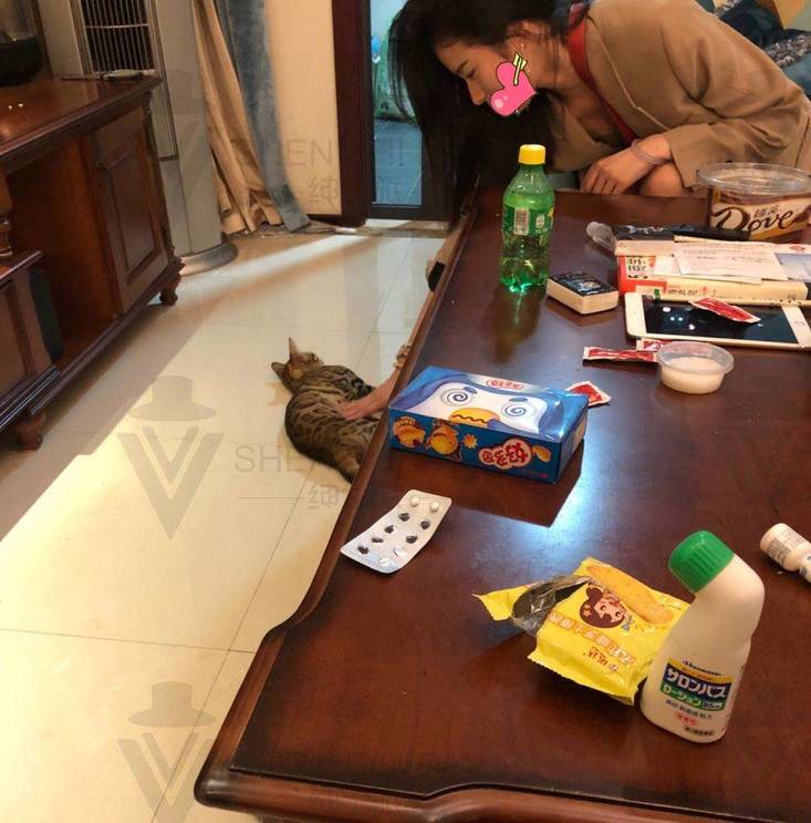 恋爱顶级技巧长篇狙击女生丨我与“小刘诗诗”长达一年的故事