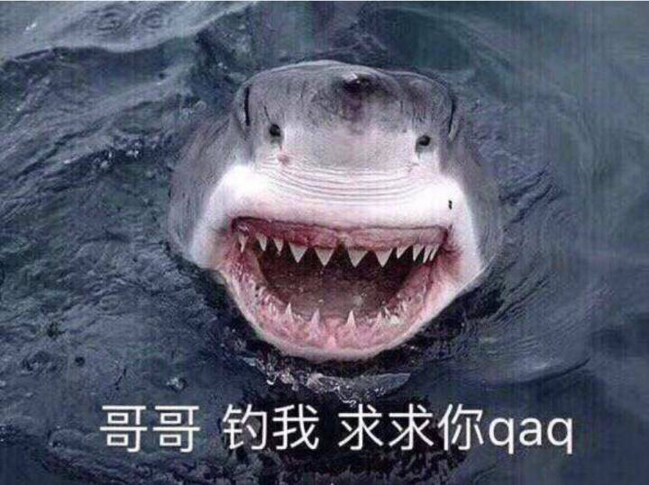 追女生恋爱聊天实战故事-我和服装店女老板的故事