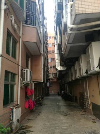 把妹聊天案例-居家系暖男遭受爱情和事业重大打击，萌系小精灵现身拯救