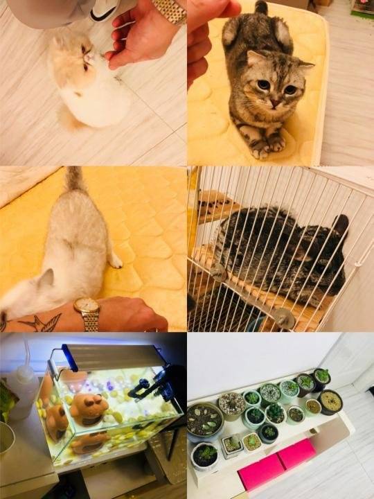 【追女生聊天约会实战速推】我花了16块打了四炮。