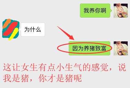 各种撩人的套路对话,再也不用等国家发女朋友了
