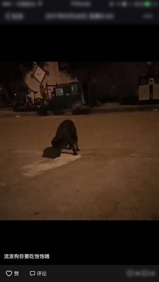 如何”挽回“心爱对象?教你三招挽回前任的有效办法!