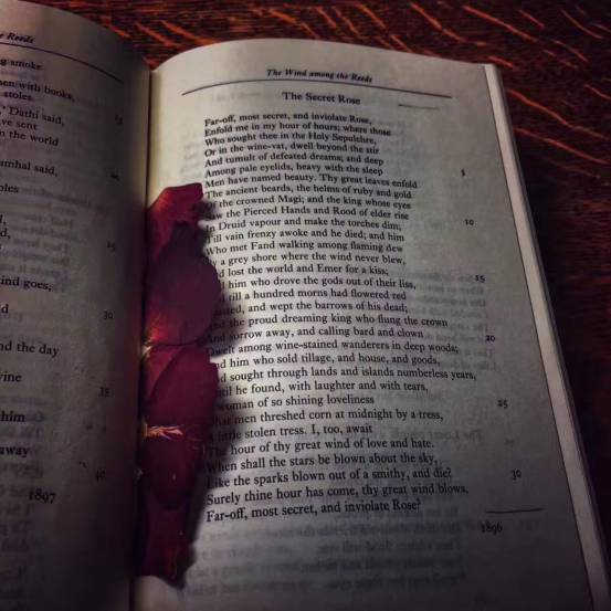 追女生聊天案例-纽约到成都,跨越1万1千公里的情缘