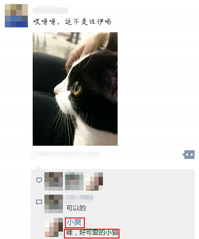 死死纠缠无果，学会这3招，让她改变对你看法迅速挽回