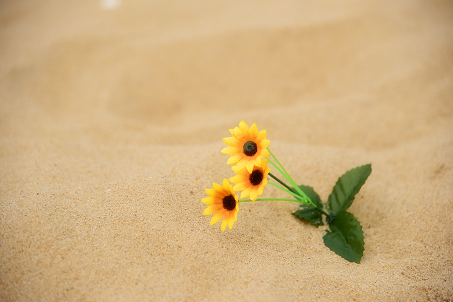 撩男朋友的简短情话