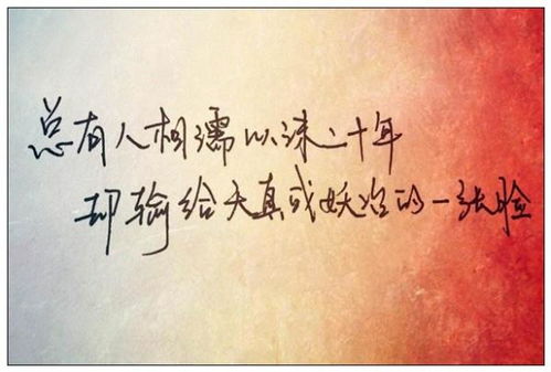 抖音上热门的句子