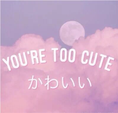 撩小哥的套路情话