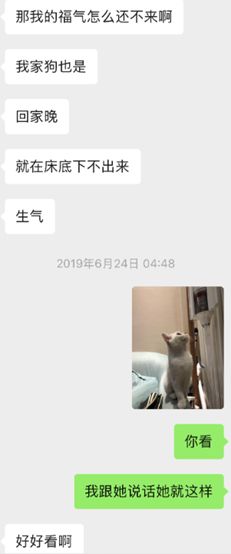 微信把妹追女生聊天案例:聊两句就不回我了,最后高冷妹子倒追我