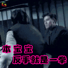 渣渣辉撩妹表情包合集