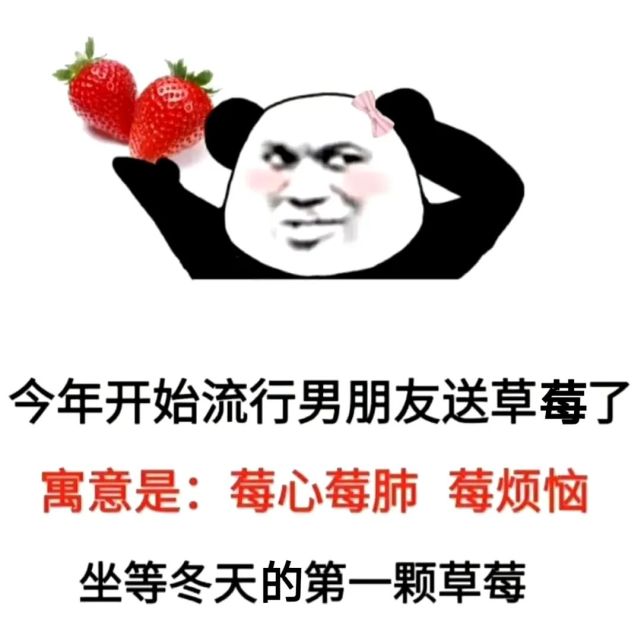 2021最新撩妹表情包