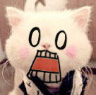 恶搞猫猫