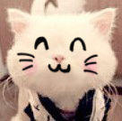 恶搞猫猫
