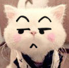 恶搞猫猫