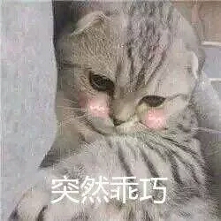 ♡乔妍妍♡超可爱の表情包