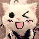 恶搞猫猫