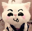 恶搞猫猫