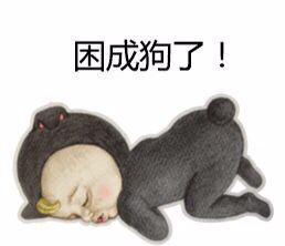 let's go sadayuki 魔性表情