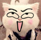 恶搞猫猫