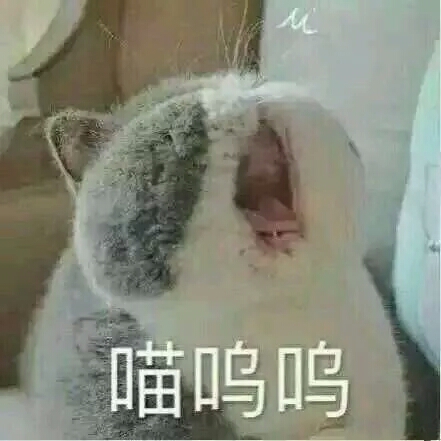 ♡乔妍妍♡超可爱の表情包