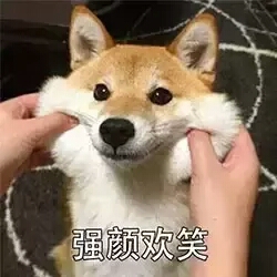 ♡乔妍妍♡超可爱の表情包