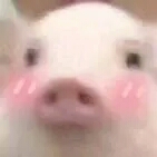 ♡乔妍妍♡超可爱の表情包