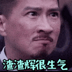 渣渣辉撩妹表情包合集