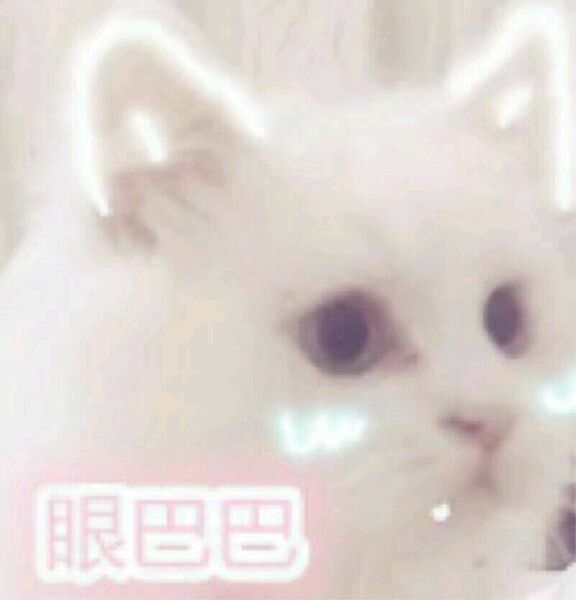 ♡乔妍妍♡超可爱の表情包