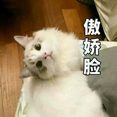 ♡乔妍妍♡超可爱の表情包