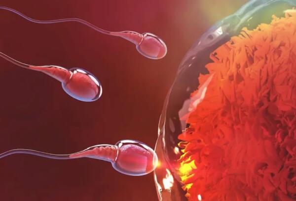 双手手指越不对称精子数越少?