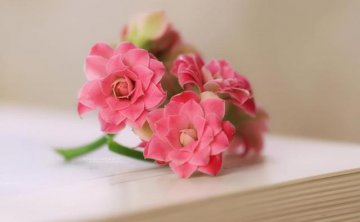 年过四十，女人富养自己最好的方式：两方面保持干净