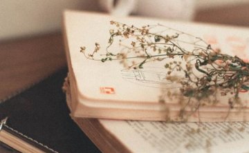 在男人心里，真正重要的并不是爱情，可惜很多女人不懂