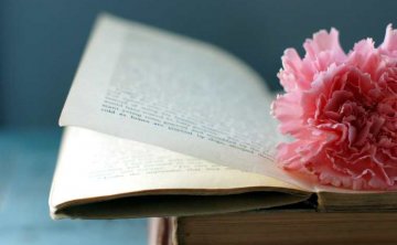 沈从文致夫人张兆和的绝美情书