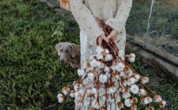 为何你的挽回这么难？这篇文章会告诉你答案，挽回的秘籍