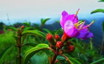 高价值刻画之二