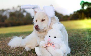 男人VS女人坚决分手会后悔么我该怎么做 怎么办