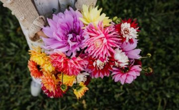 女友坚决分手，教你一个成功率98%的挽回技巧，挽回秘籍