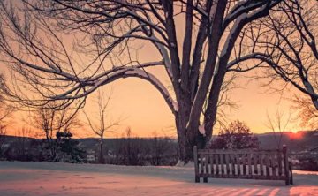 相亲聊天话题大集锦，教你技巧让你聊出真感情