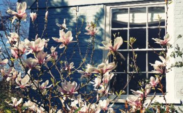 七年感情，现在为房名彩礼各种经济问题撕逼，男友没钱该不该分手