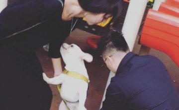 追女生恋爱案例-后来的我们，重新爱在了一起！