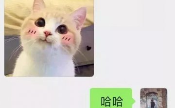 如何让女生珍惜你的付出-追女生约会聊天案例分析