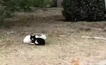 追女生聊天案例-夜夜有女生陪伴的不外传秘籍