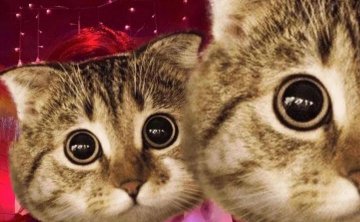 把妹案例-揭秘！凌晨一点多约会结束，她还不回家，原来是这意思啊